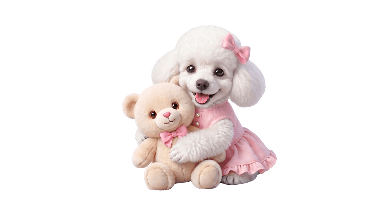 Bella the Poodle