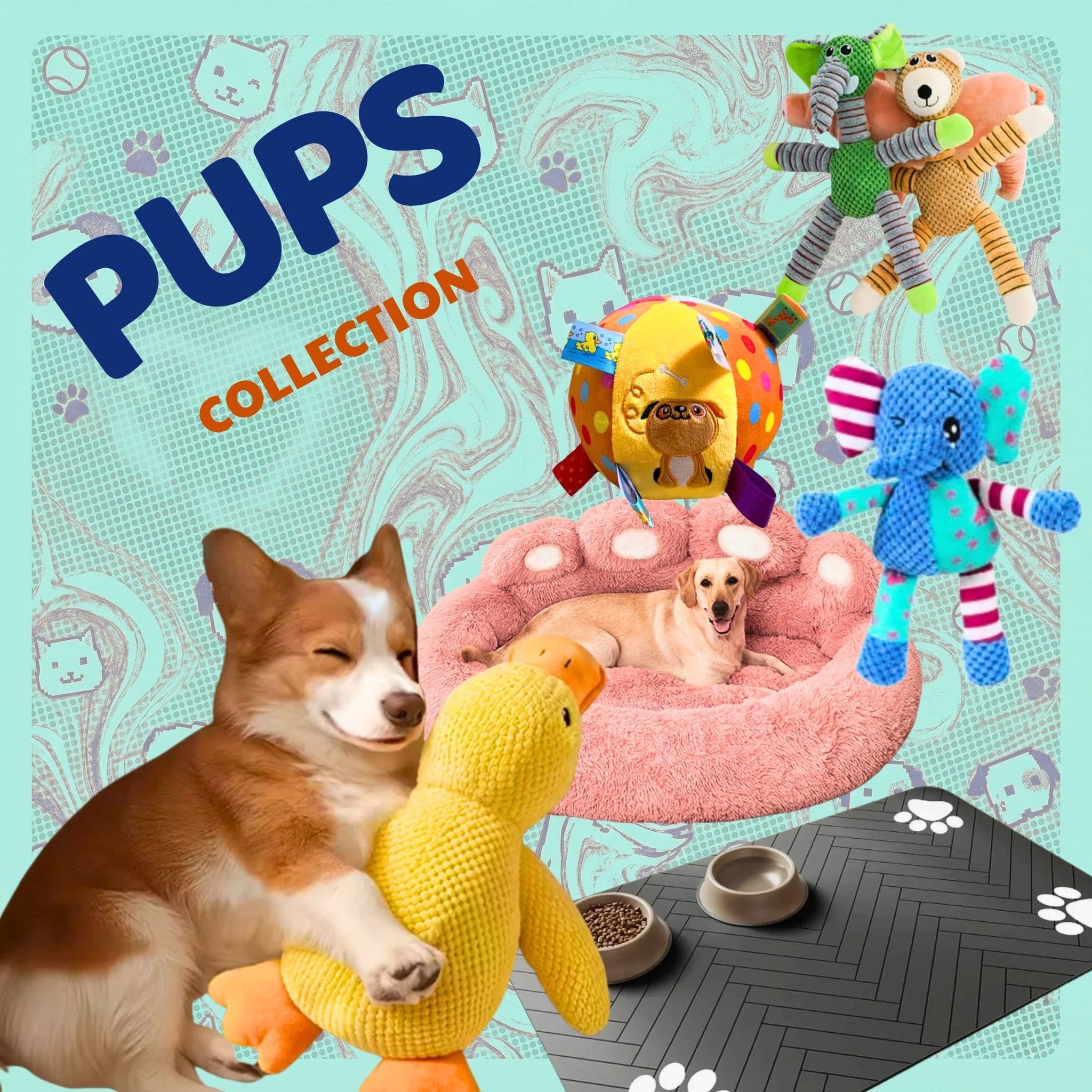 Shop Max's Collection